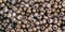 Toho 11/0 Round Japanese Seed Bead, TR11-1700, Gilded Marble White